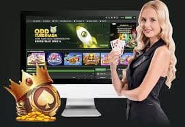 pk33 login